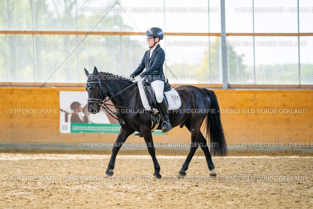 DSC01345 | Pferdegrafie