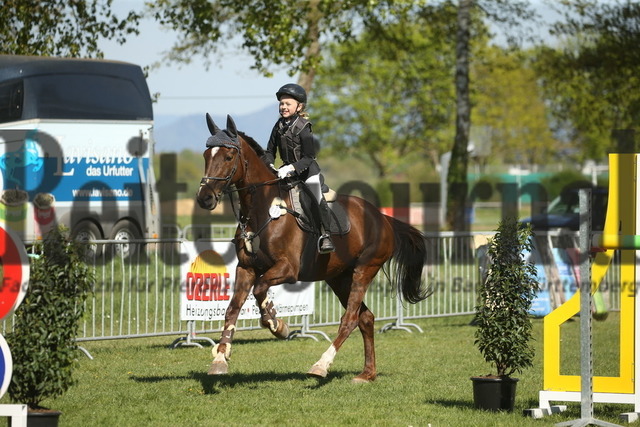 Meißenheim_2022_Stilspring-WB_ohne erlaubte Zeit_Marie Hofer_Denja 4 (22) | Alle Fotos der Reiterjournal Fotografin Doris Matthaes im Reiterjournal Online-Fotoshop. - Realizado com Pictrs.com