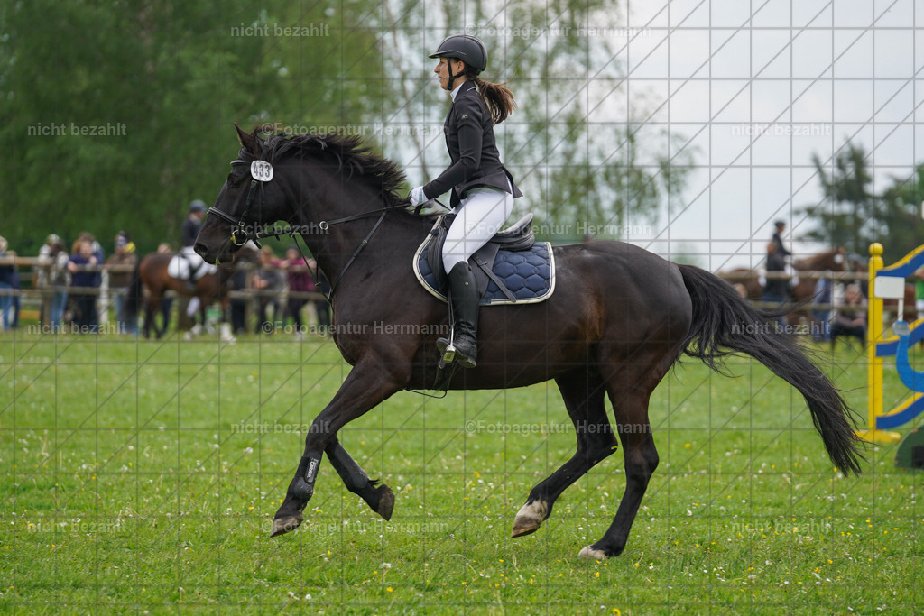 20240509-FAH02430 | Turnierbilder der Turnierfotografen Bayern, Pferdesport Fotografie, Reitsportbilder, Turnier Landberg am Lech, Turnierbilder bayern, Fotoagentur Herrmann