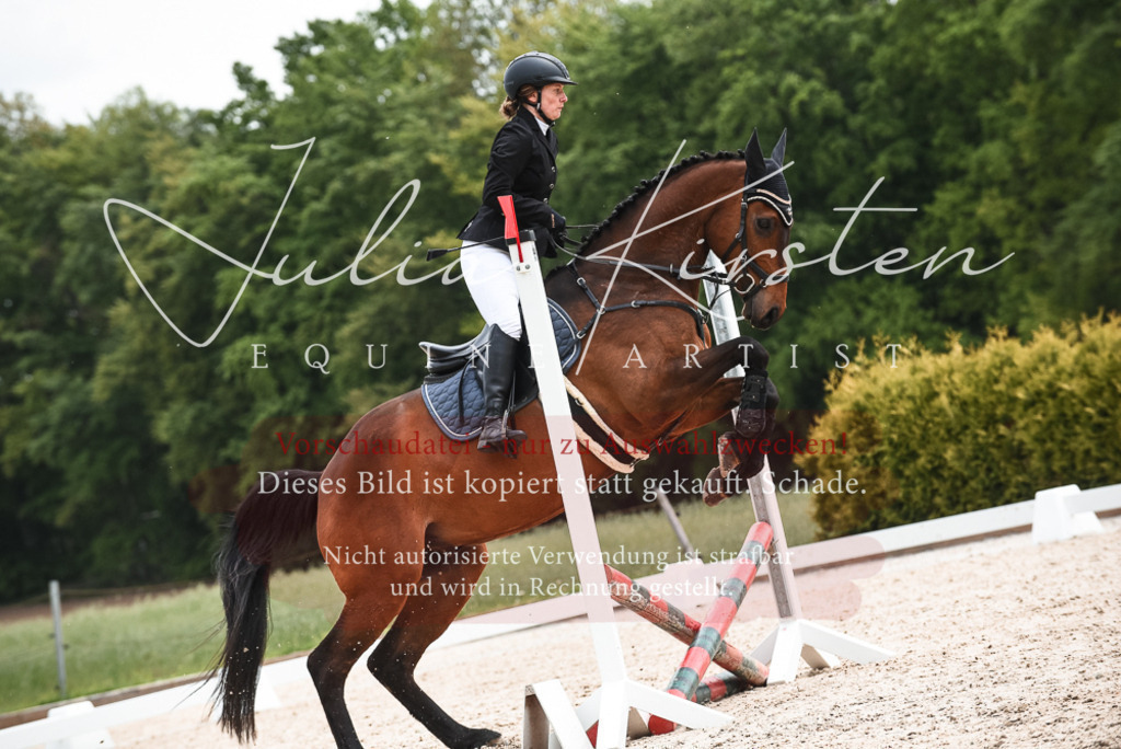 20230518_JK-Röhrsdorf-10-338 | Pferde- und Turnierfotografie in Westsachsen. Pferdeportraits, Auftragszeichnungen und intuitive Kunst.