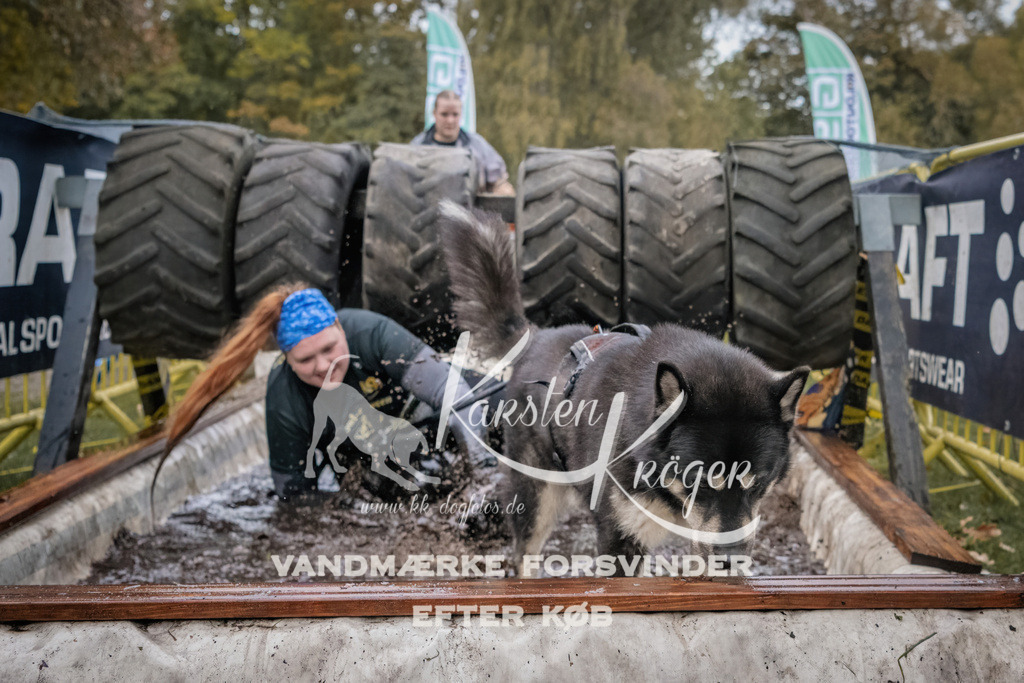 1706_ZZ94965 | kk-dogfotos