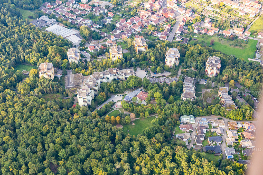 Luftbild: Waldpark Siedlung in Eisingen im Bundesland Baden-Württemberg in Deutschland. Foto: IMG_103635.jpg vom 23.09.2017 durch Werner Riehm/FLY-FOTO.de