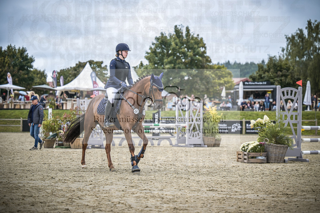 DOS_1274 | Entdecke hochwertige Reitturnierfotos von Foto Oger. Professionell, emotional und authentisch – jetzt Lieblingsmomente im Shop bestellen.Deutschlandweite Turnierfotografie. - Realisiert mit Pictrs.com