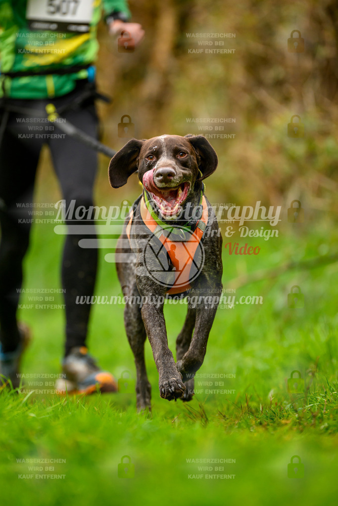 MompixPhotography_20TSB_E8_Run-118 | PayLife