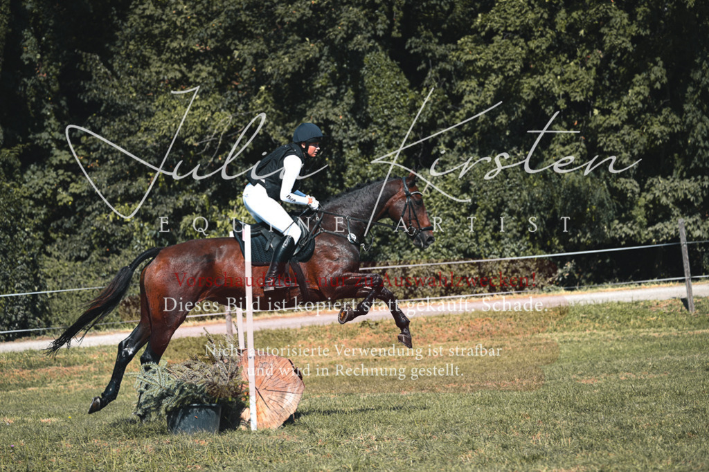 DSC_7893 | Pferde- und Turnierfotografie in Westsachsen. Pferdeportraits, Auftragszeichnungen und intuitive Kunst.