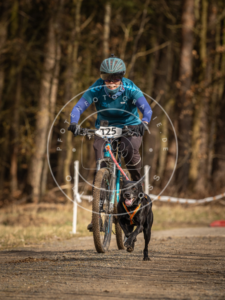 DV3A4522 | Hundefotografie, Tierfotograf, Pfotenfotografie, Fotoshooting Hund, Hunde Portrait, Hundesport, Hundeportraits, Heideshooting, Hunde, Sportfotograf, Hundefotograf, Turnierhundsport, THS,  - Realisiert mit Pictrs.com