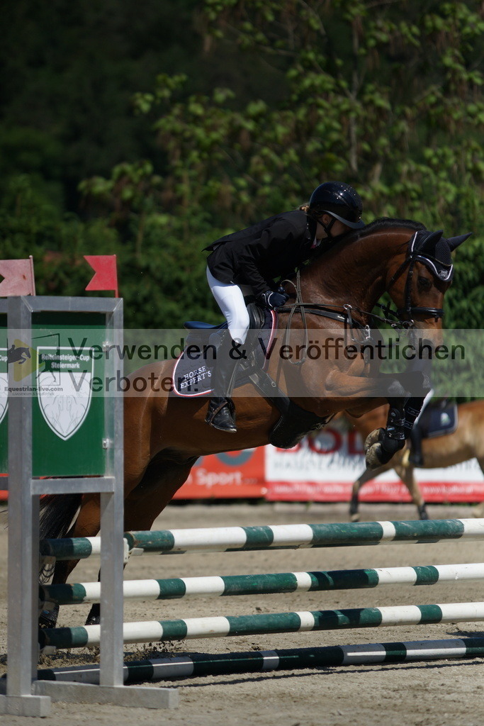 DSC06257 | equestrian-live-com