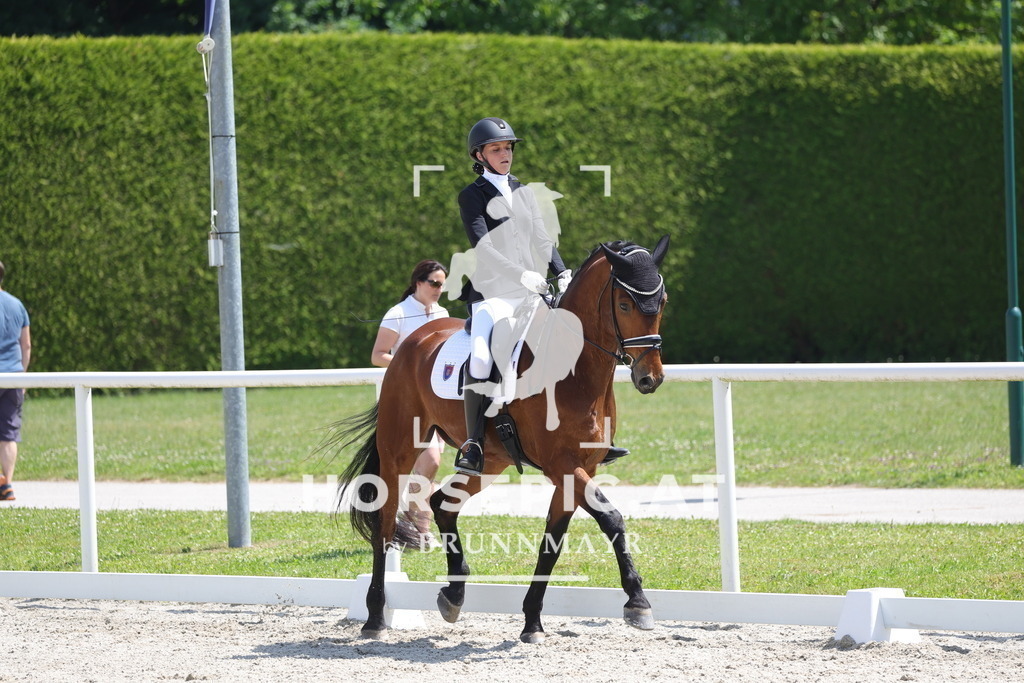 0P6A5857 | Willkommen bei Brunnmayr - Design & Fotografie – Ihrem Spezialisten für Reitturniere und Pferdeveranstaltungen in Oberösterreich, Salzburg und Bayern! Seit über 17 Jahren sind wir leidenschaftlich dabei.