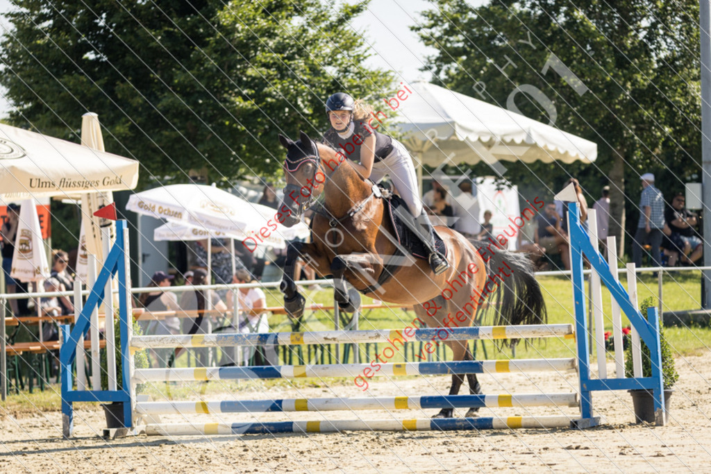 IMG_2649 | Sport-, Event- und Tierfotos in Profiqualität. Einfach auswählen, bestellen und herunterladen. Dein Moment – perfekt festgehalten.