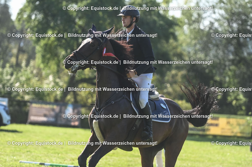 20230908_14-15_Springpferde-A_0150 | equistock