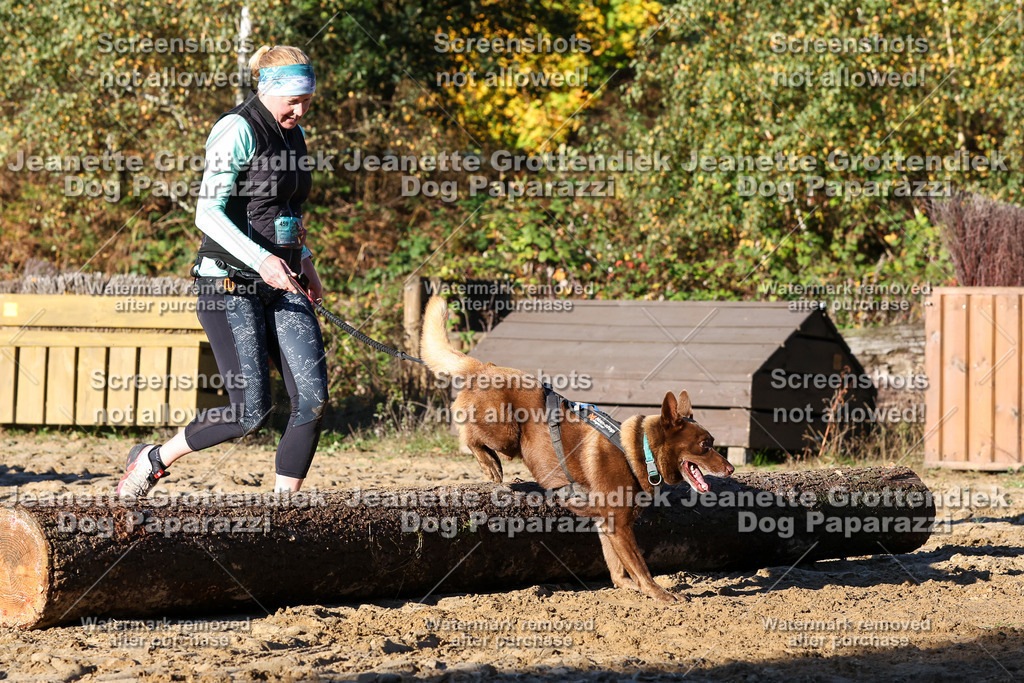 Dog Paparazzi - Strongdog 10-25-1462 | Dog Paparazzi Jeanette Grottendiek Fotografie & Videografie - Realisiert mit Pictrs.com