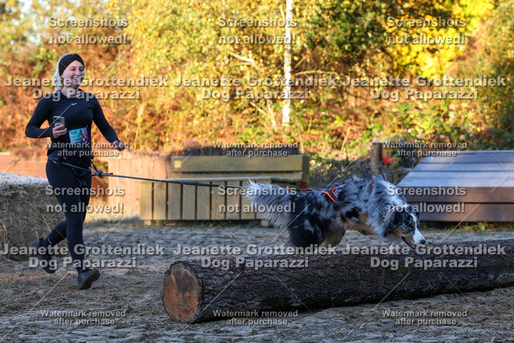 Dog Paparazzi - Strongdog 10-25-538 | Dog Paparazzi Jeanette Grottendiek Fotografie & Videografie - Realisiert mit Pictrs.com