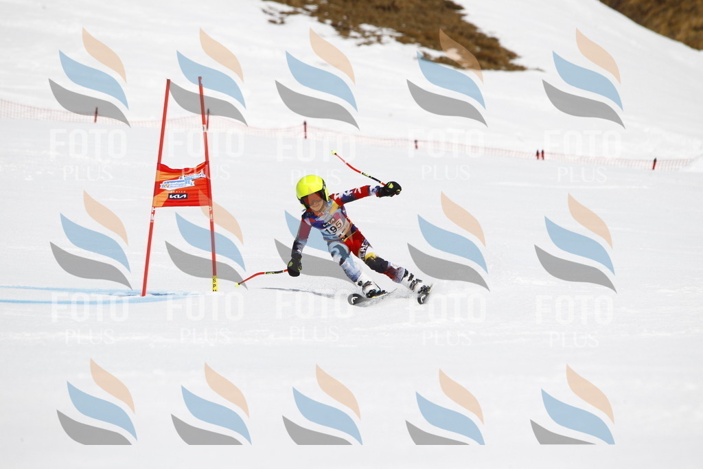 _U3G5103 | holidayphoto