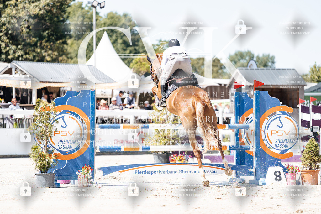CK909525 | Turnierfotografie Pferdefotografie Trier Rheinland-Pfalz Pferdesport Reitsport Tierfotografie Sportfotografie Pferdevideo Pferdevideografie Equestrianvideography equestrianphotography  - Realisiert mit Pictrs.com