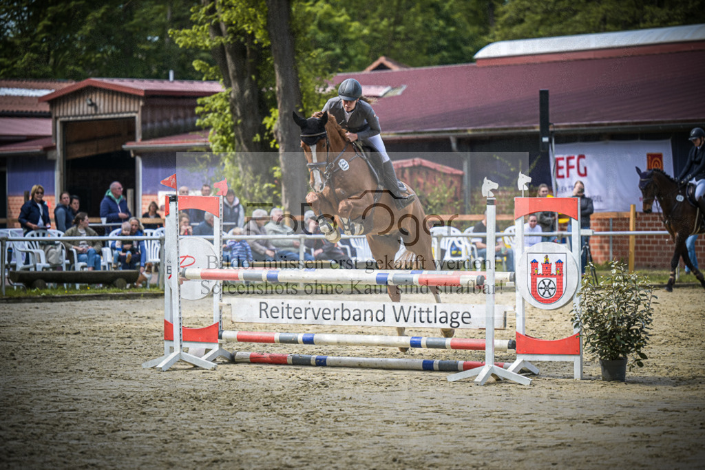 DOS_6735 | Entdecke hochwertige Reitturnierfotos von Foto Oger. Professionell, emotional und authentisch – jetzt Lieblingsmomente im Shop bestellen.Deutschlandweite Turnierfotografie. - Realisiert mit Pictrs.com