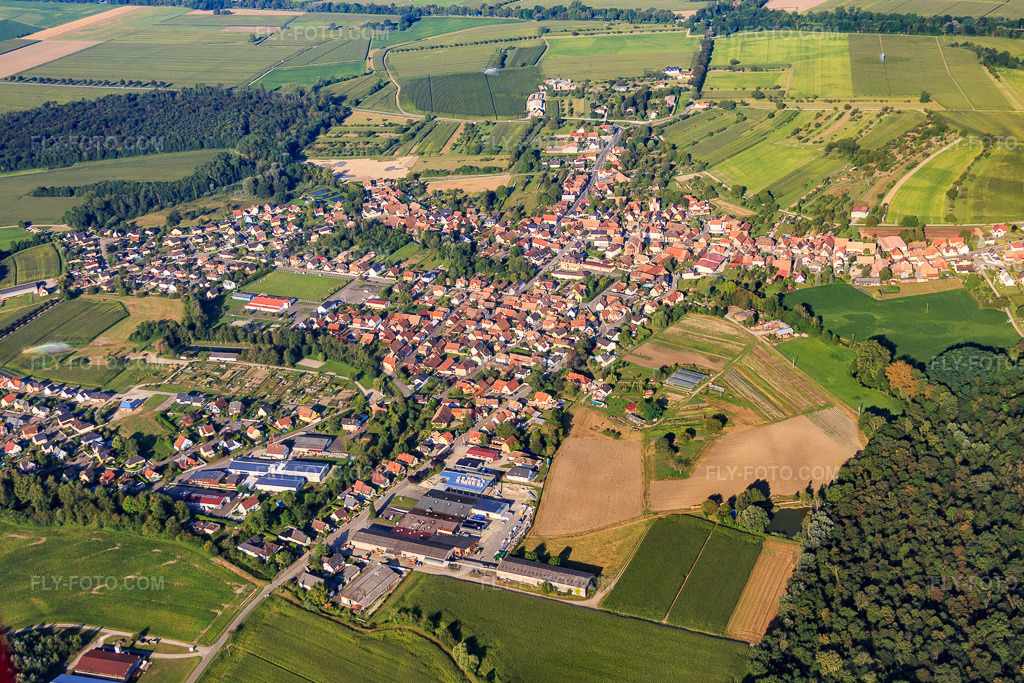 Aerial view: View of the town from the east in Obenheim in the state Bas-Rhin, France.Photo: IMG_093226.jpg taken on 08/16/2016 by Werner Riehm/FLY-FOTO.comResolution of the original: 5189 x 3459 px