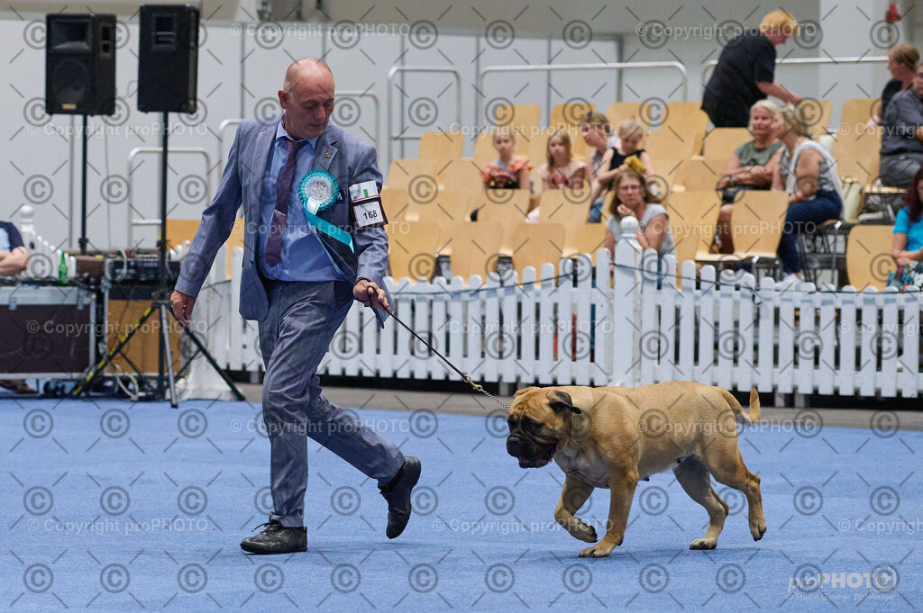 202406_ÖKV-IHA-Tulln24_DSC_2942 | proPHOTO - Realisiert mit Pictrs.com