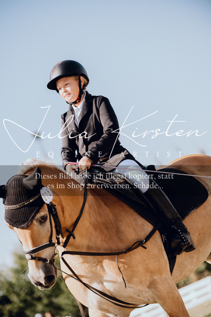 DSC_7087 | Pferde- und Turnierfotografie in Westsachsen. Pferdeportraits, Auftragszeichnungen und intuitive Kunst.