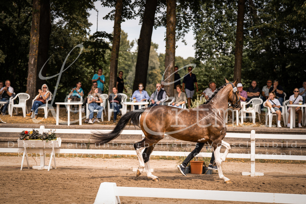 3.Fr00173 | Leoni Ertmer Photography - Realisiert mit Pictrs.com