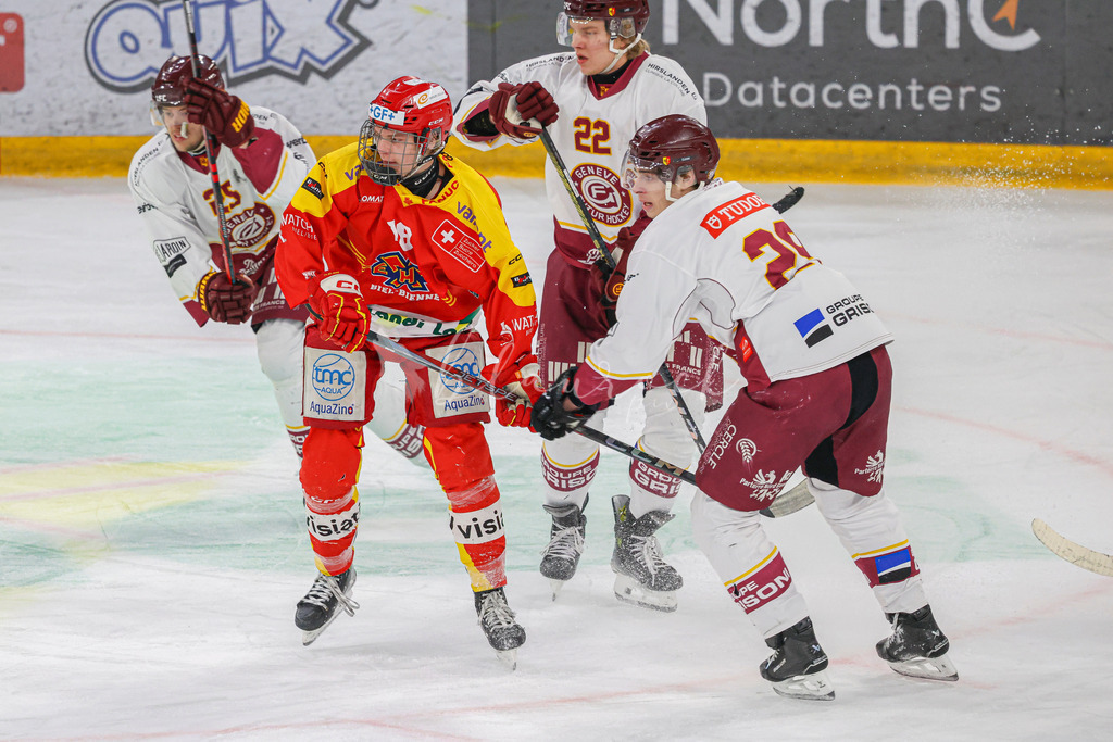 0314_WB_EHCB vs GSHC_9648 | Sportbilder, Sportfotograf, Hochzeits- und Eventfotografin, Flugshows, Portraits und Tiershooting, Aviation, Downhill, Nationalleague, Swissleague, International