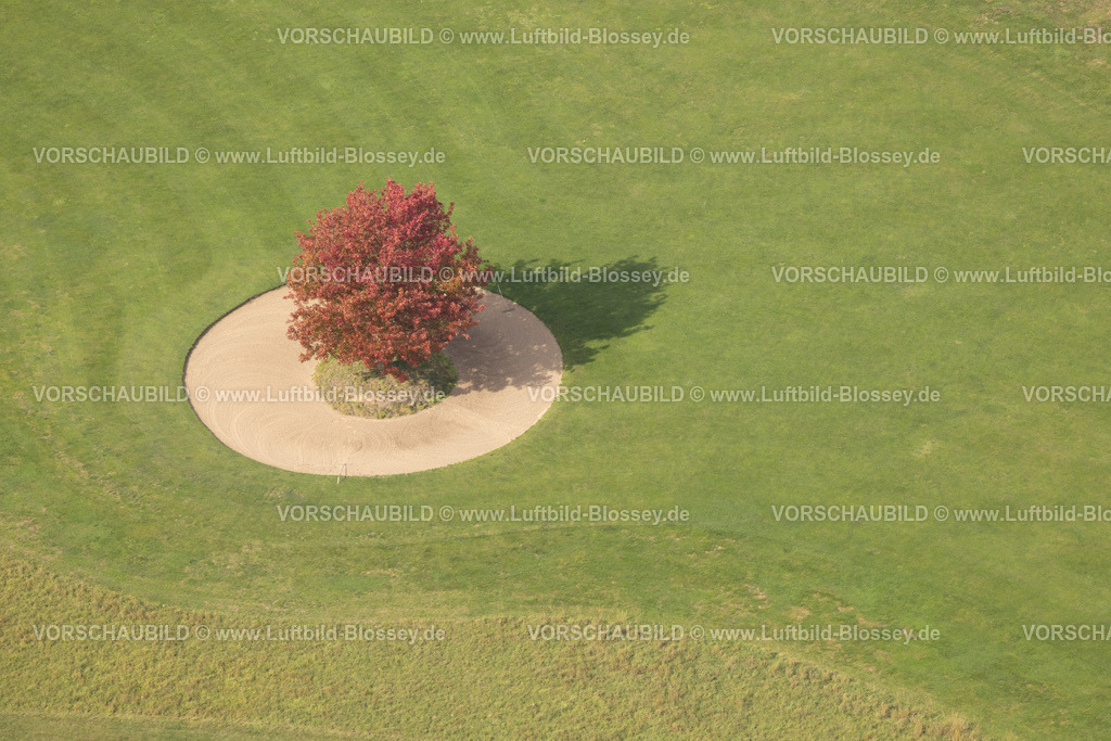 Huenxe250904128 | Luftbild, Rot-Ahorn Baum auf einer grünen Wiese, An den Höfen, Formen und Farben, Bruckhausen, Hünxe, Ruhrgebiet, Nordrhein-Westfalen, Deutschland