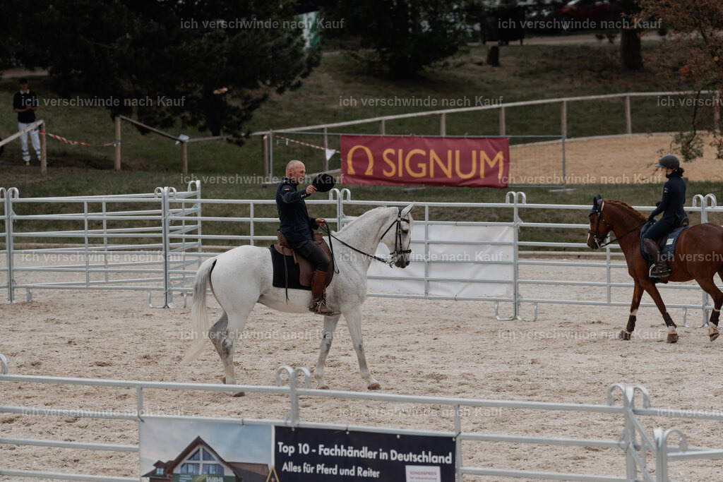 WE__Stoib_Rinder_PI2025_3159 | Pferd International München 2025