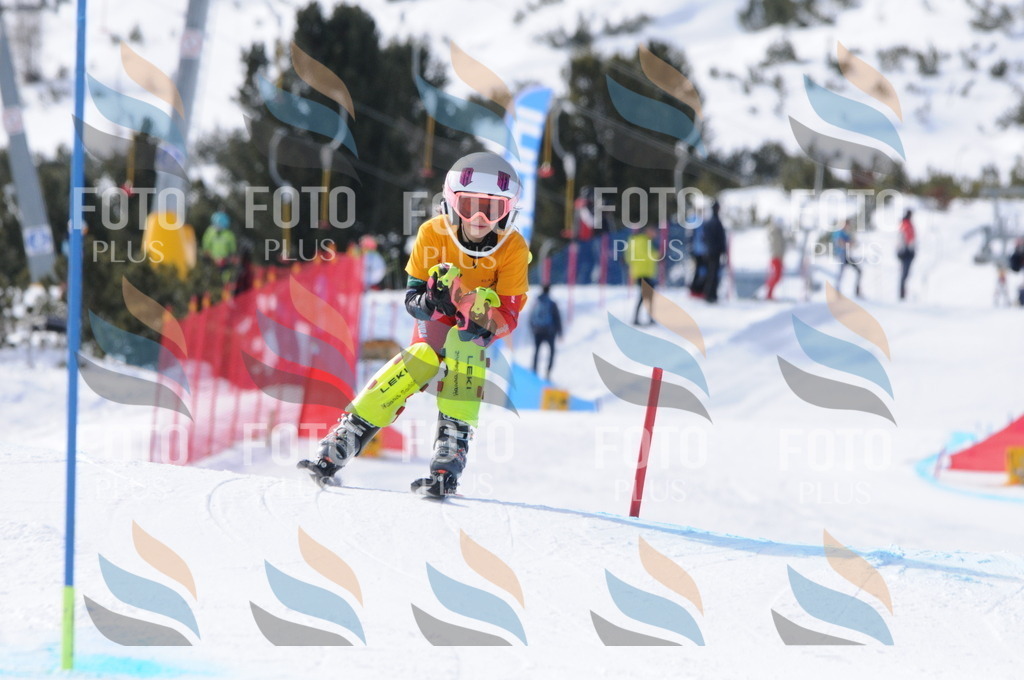 C7281 | holidayphoto