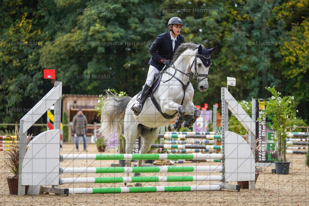 20221009-FAH08355 | Diessen am Ammersee, 2022, Dressur- und Springturnier, Reitsportbilder, Turnierfotografen Bayern, Pferdefotografen, Fotoagentur Herrmann, Turnierbilder