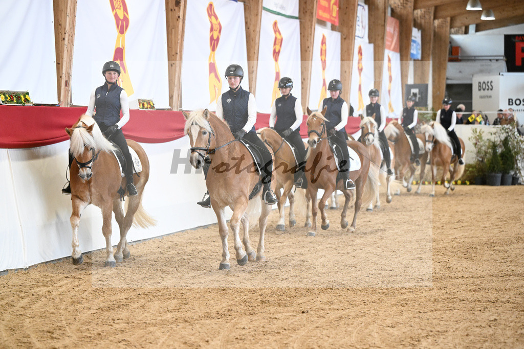 Schauprogramm Haflinger Quadrille_2251498 | hf-fotografie - Realisiert mit Pictrs.com