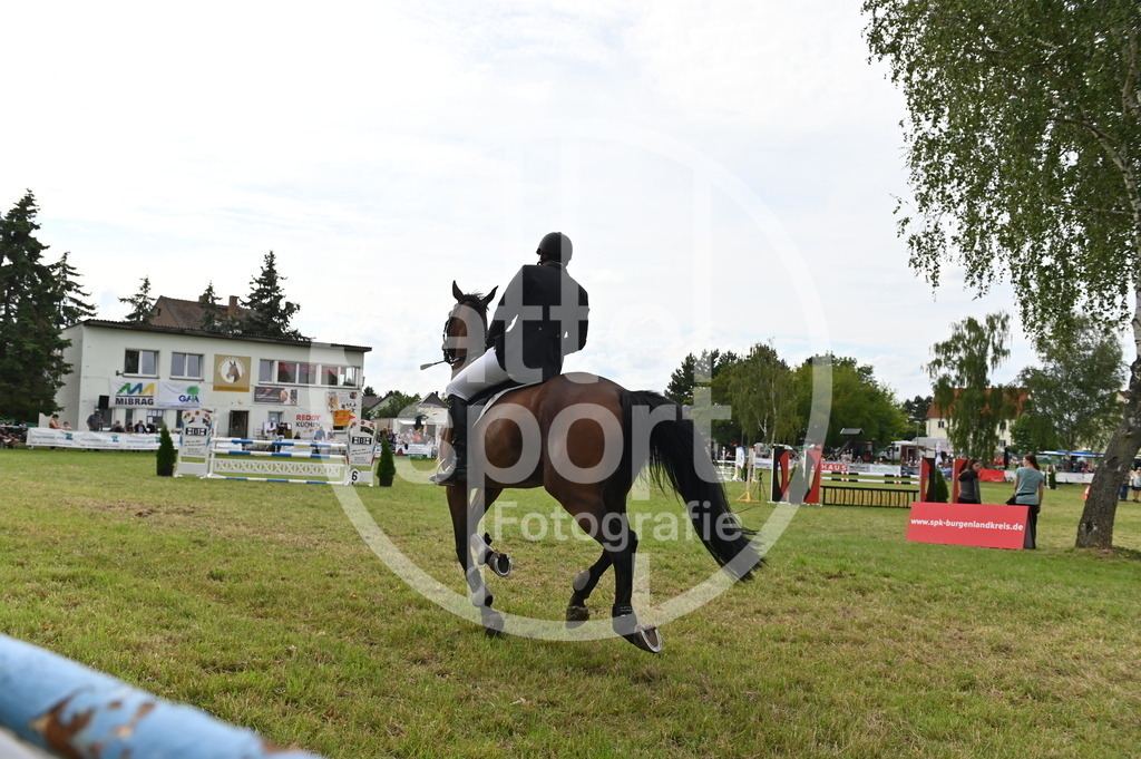 DSC_3729 | sattelsport - Realisiert mit Pictrs.com