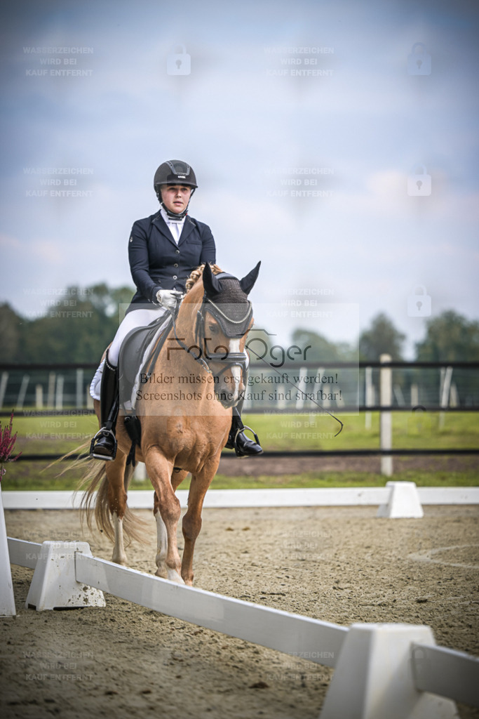 DOS_B540 | Entdecke hochwertige Reitturnierfotos von Foto Oger. Professionell, emotional und authentisch – jetzt Lieblingsmomente im Shop bestellen. - Realisiert mit Pictrs.com