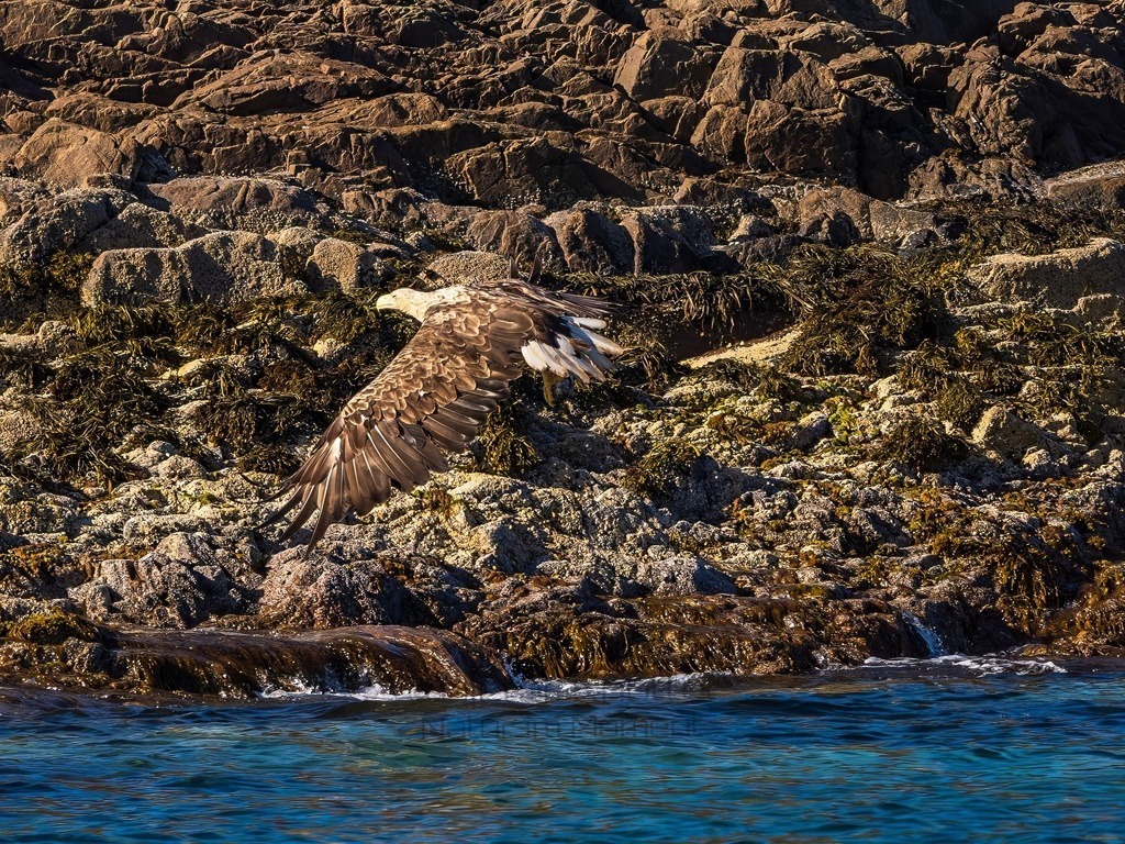 P1001643-LR-topaz-denoise-enhance | Natur im Moment - Realisiert mit Pictrs.com