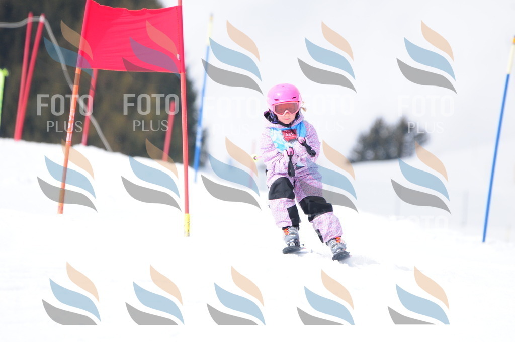 A3672 | holidayphoto