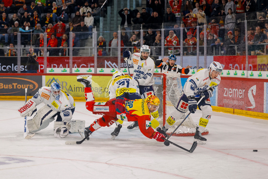 EHCB vs HCAP 20260115_wb-4521 | Sportbilder, Sportfotograf, Hochzeits- und Eventfotografin, Flugshows, Portraits und Tiershooting, Aviation, Downhill, Nationalleague, Swissleague, International