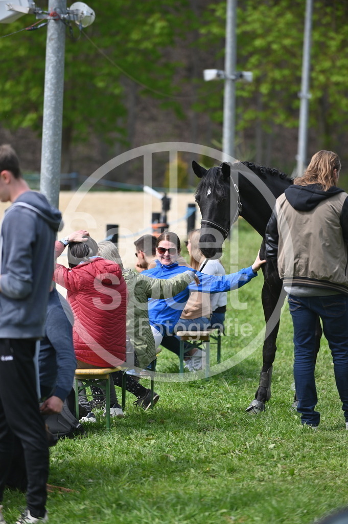 DSC_4093 | sattelsport - Realisiert mit Pictrs.com