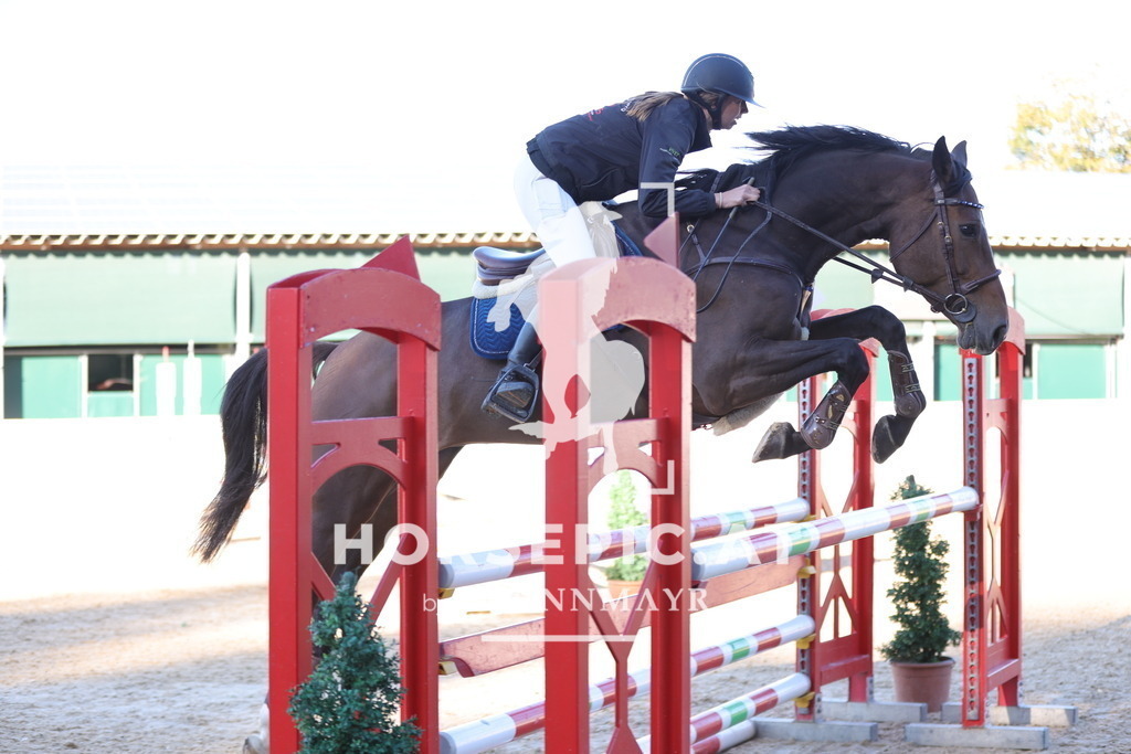 0P6A1571 | Willkommen bei Brunnmayr - Design & Fotografie – Ihrem Spezialisten für Reitturniere und Pferdeveranstaltungen in Oberösterreich, Salzburg und Bayern! Seit über 17 Jahren sind wir leidenschaftlich dabei.