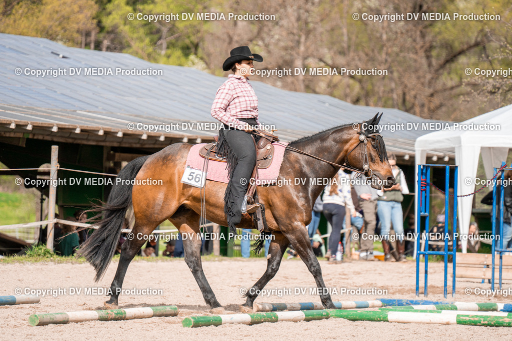 BAL02688 | dv-media-shop - Realisiert mit Pictrs.com