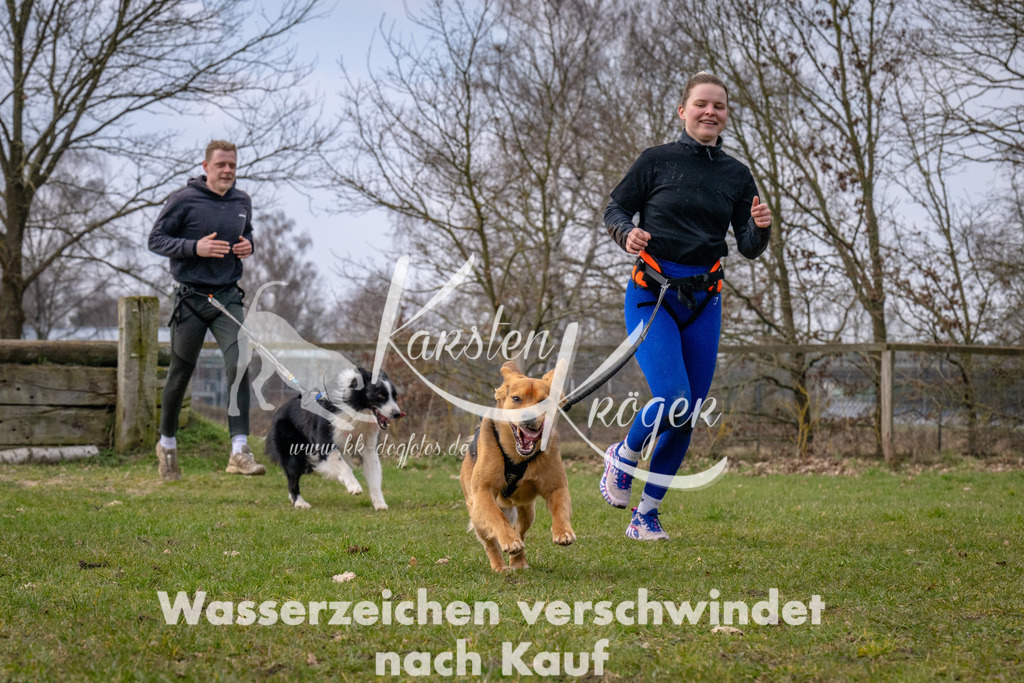 _ZZ91155 | kk-dogfotos