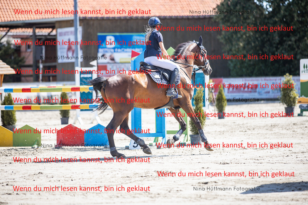 BK1A6633 | Turnierbilder Turnierfotos Nina Hüffmann Turnierfotografie Pferdefotografie Tierzeichnung Haustierzeichnung Pferdezeichnung Hundezeichnung Videograf  - Realisiert mit Pictrs.com