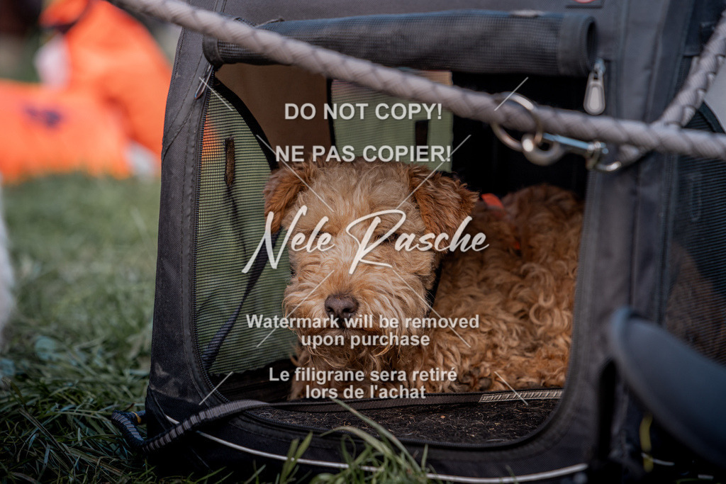 nelerasche_TheGame2026_SaAbend_194 | nelerasche