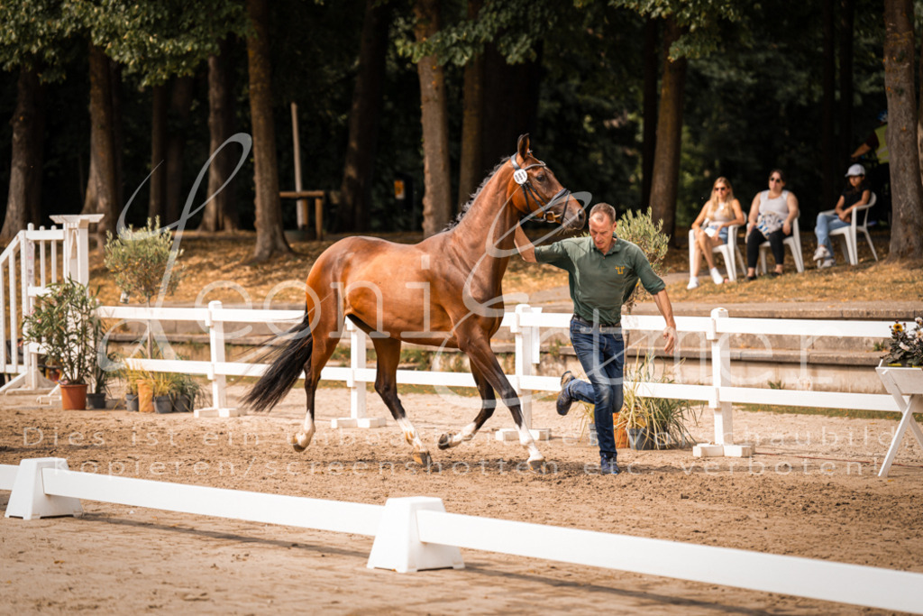 6.Fr00092 | Leoni Ertmer Photography - Realisiert mit Pictrs.com