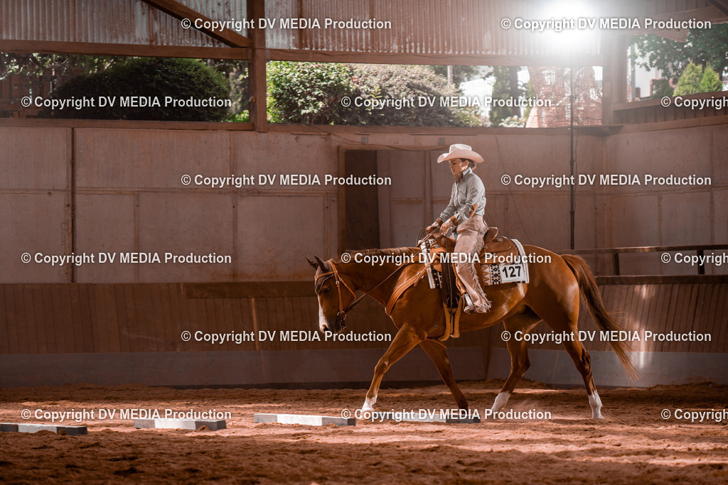 NE100510 | dv-media-shop - Realisiert mit Pictrs.com