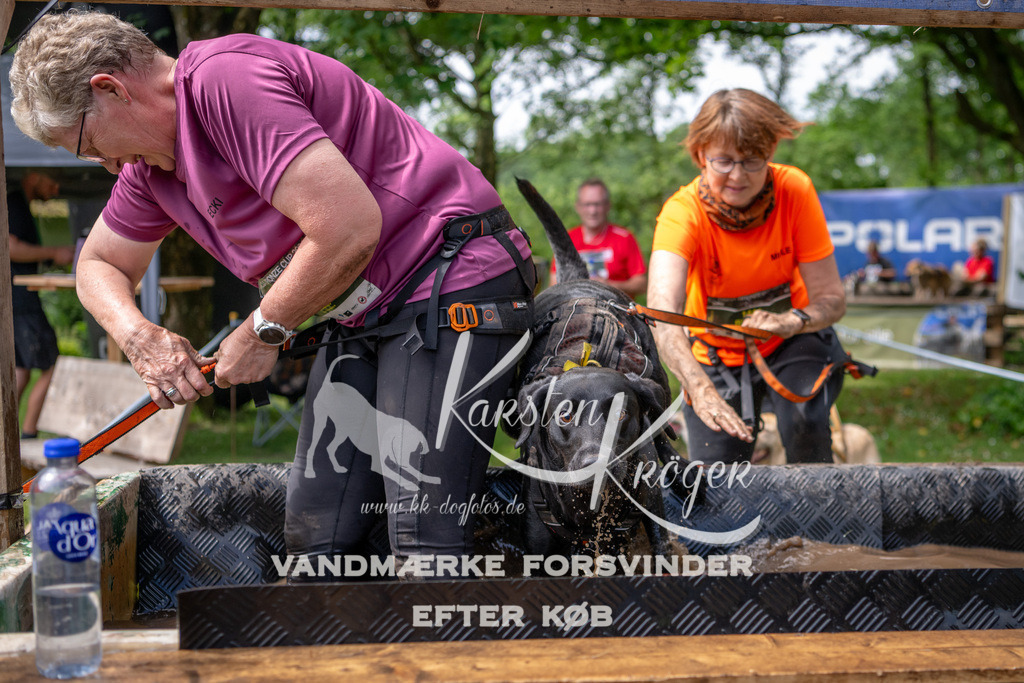 1113_ZZ93052 | kk-dogfotos