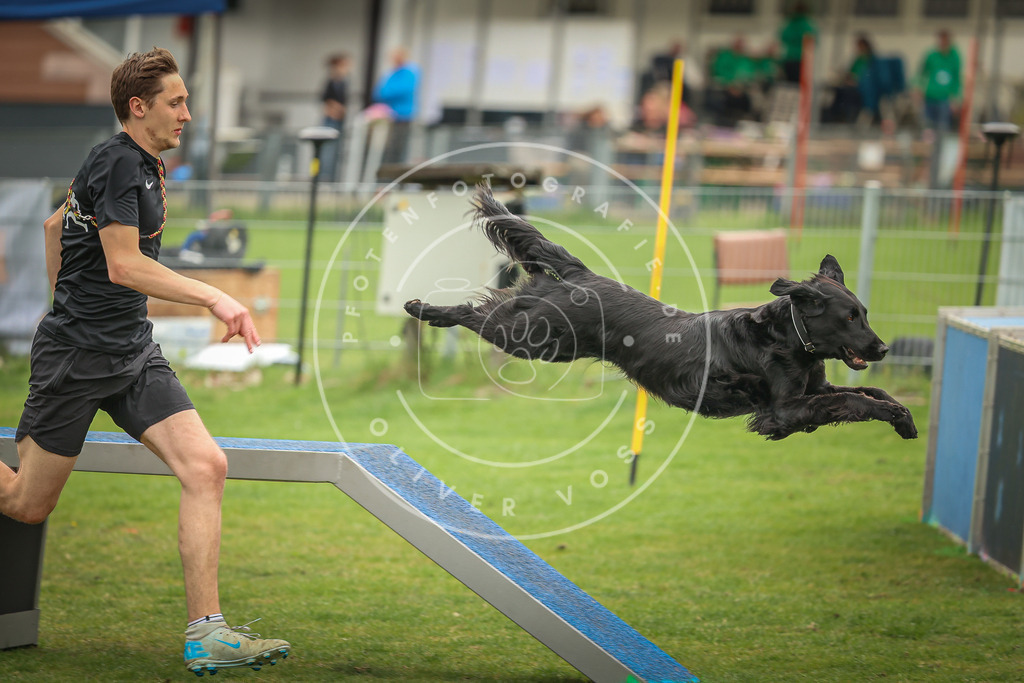 Pfotenfotografie_0L8A1481 | Hundefotografie, Tierfotograf, Pfotenfotografie, Fotoshooting Hund, Hunde Portrait, Hundesport, Hundeportraits, Heideshooting, Hunde, Sportfotograf, Hundefotograf, Turnierhundsport, THS,  - Realisiert mit Pictrs.com