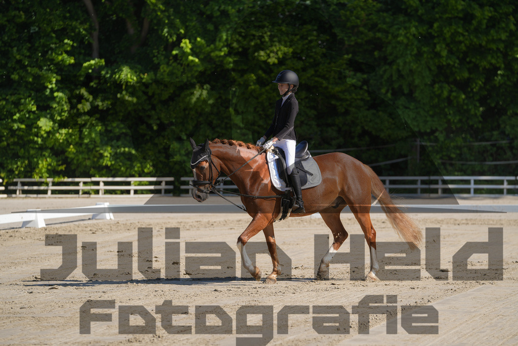 DSC02901 | Julian Held Fotografie - Realisiert mit Pictrs.com