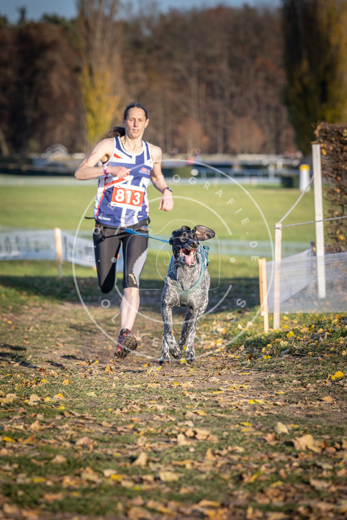 CaniXpix_DV3A3078 | Hundefotografie, Tierfotograf, Pfotenfotografie, Fotoshooting Hund, Hunde Portrait, Hundesport, Hundeportraits, Heideshooting, Hunde, Sportfotograf, Hundefotograf, Turnierhundsport, THS,  - Realisiert mit Pictrs.com