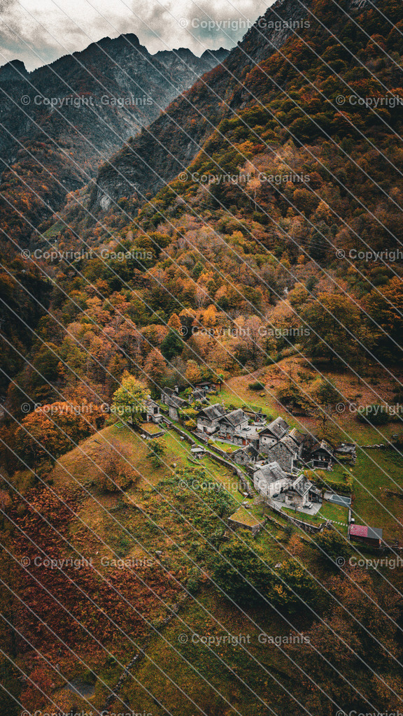 Tessin Herbstlandschaft Schweiz, Tessin Dorf Print, Nebel Fotografie, Herbstfarben Wandbild, Naturposter, Alpenkunst | Goldene Blätter, malerische Gassen und sanfter Herbstnebel – diese Fotografie bringt die magische Atmosphäre des Tessiner Herbstes in dein Zuhause. Perfekt für gemütliche Wohnräume oder als Geschenk für Naturliebhaber.