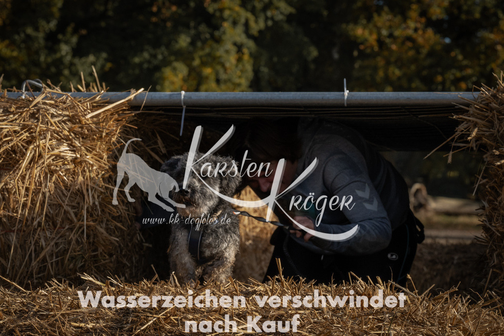 0957_ZZ95666 | kk-dogfotos