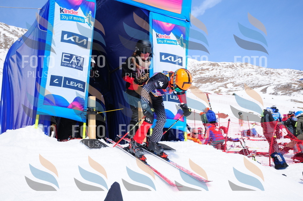 DSC_6730 | holidayphoto