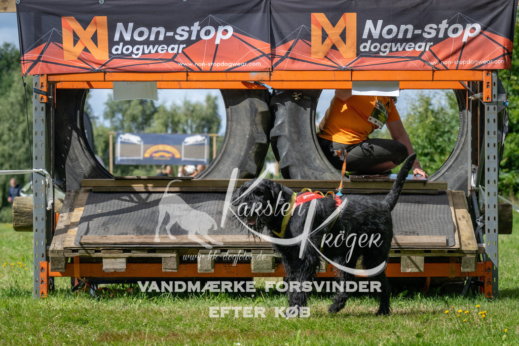 1540_ZZ93747 | kk-dogfotos